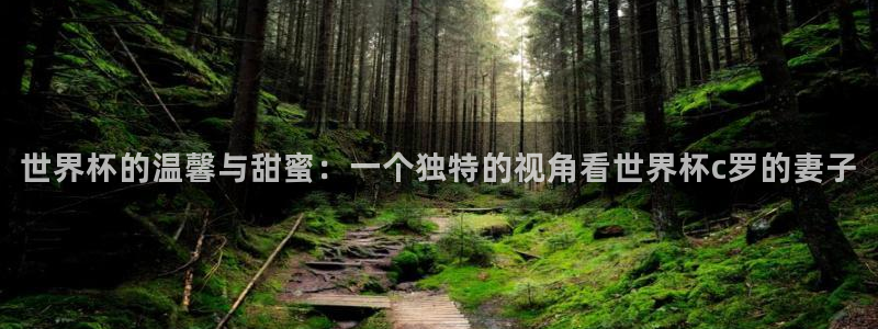 世界杯欧洲预选赛赛程:世界杯的温馨与甜蜜:一个独特的视角看世界杯c罗的妻子