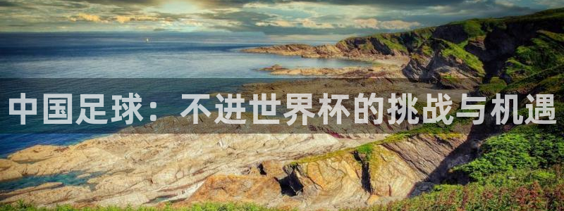 世界杯预选赛亚洲区积分榜:中国足球:不进世界杯的挑战与机遇