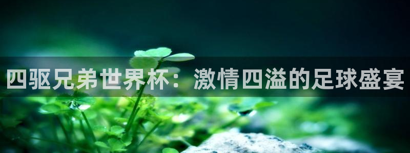 2026世预赛赛程表:四驱兄弟世界杯:激情四溢的足球盛宴