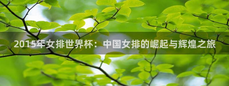 中国 世界杯:2015年女排世界杯:中国女排的崛起与辉煌之旅