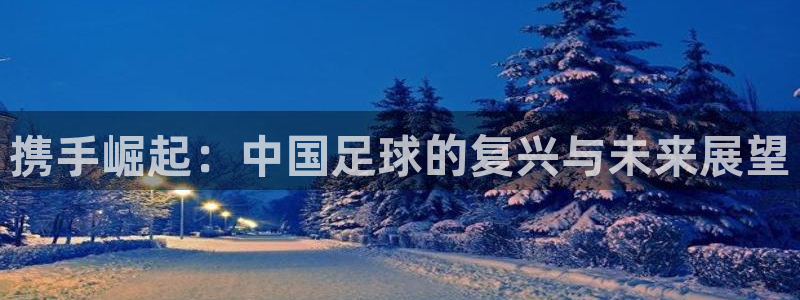 2026世界杯赛:携手崛起:中国足球的复兴与未来展望