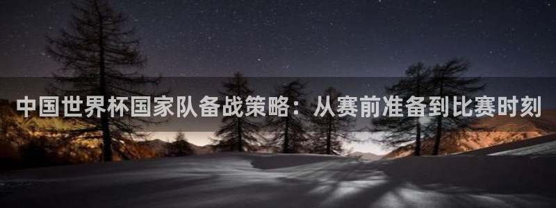世界杯系列赛:中国世界杯国家队备战策略:从赛前准备到比赛时刻